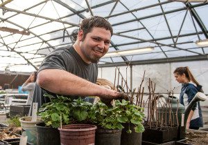 Gabe Sproull prepares plants and seedlings for the May native plant sale in the college’s Native Plant Propagation Center. 