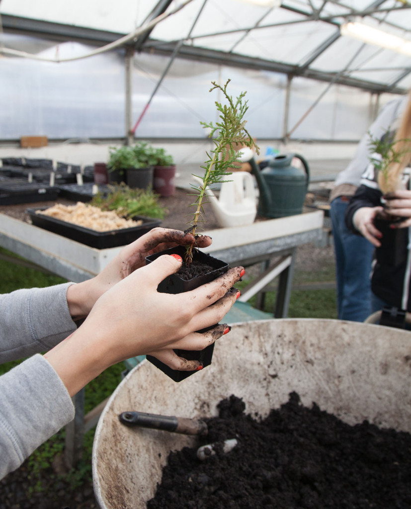 Students learn how to care and prepare plants for retail sale.