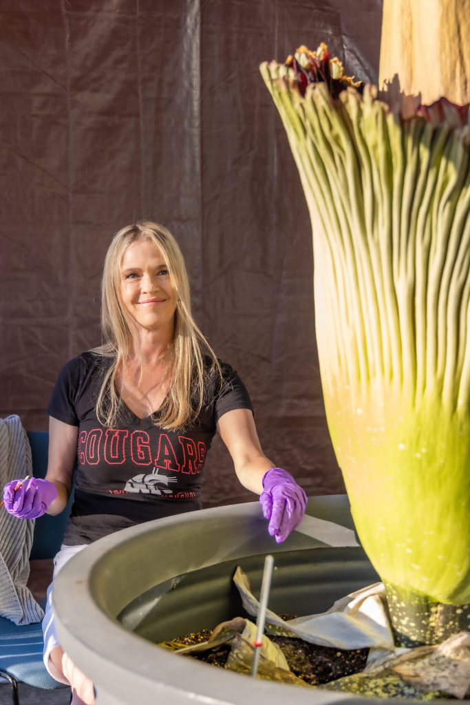 Dawn Freeman with Corpse Flower. Photo by Dawn Freeman and Washington State University Vancouver