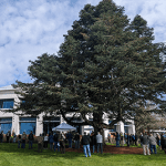 A majestic Turkish black fir tree on Clark’s campus was dedicated in March 2023 as a Vietnam War Witness Tree commemorating the 50th anniversary of the end of U.S. involvement in the war.