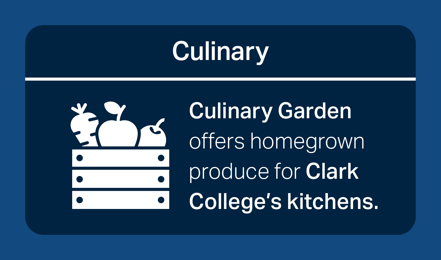 Culinary garden offers home grown produce for Clark colleges kitchens